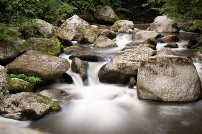 Building a Healthier Life: Simple Steps for Physical and Mental Well-Being